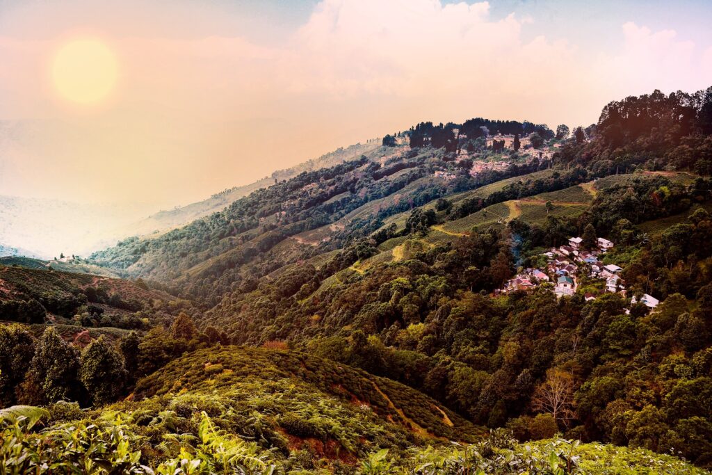 Darjeeling to Gangtok Escape