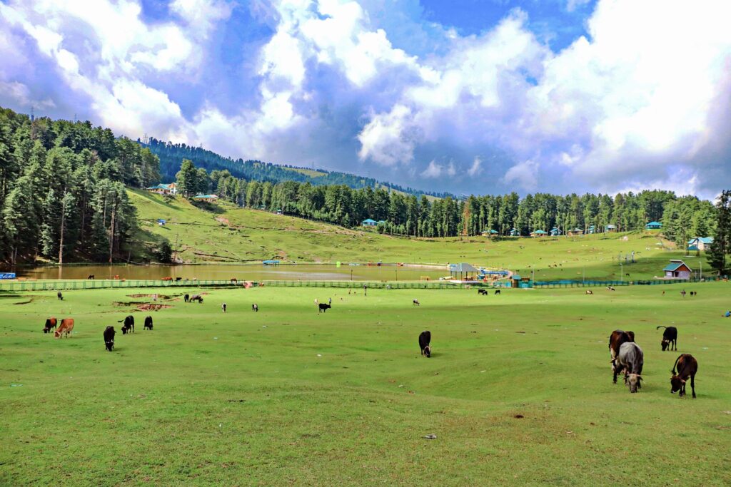 Darjeeling to Gangtok Escape