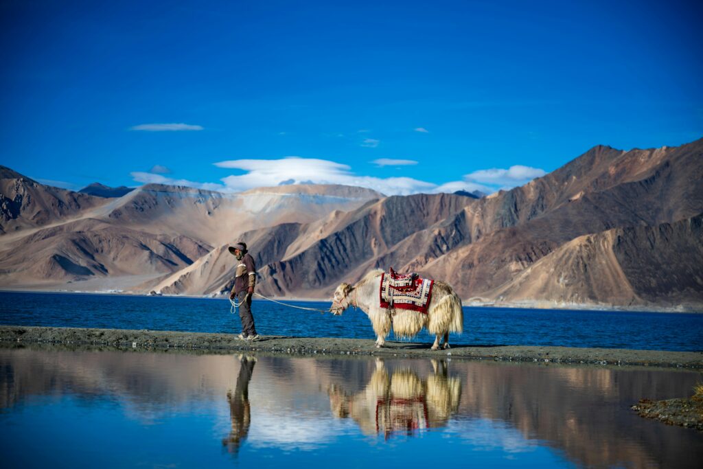 Colors of Ladakh