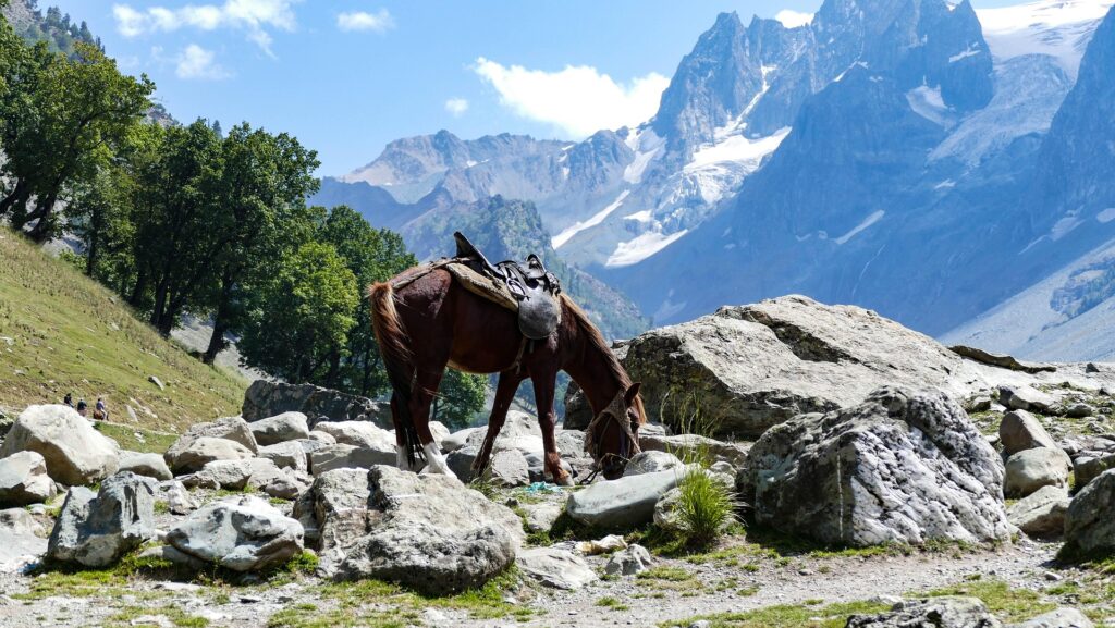 Mystic Kashmir Getaway