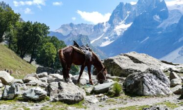 Mystic Kashmir Getaway