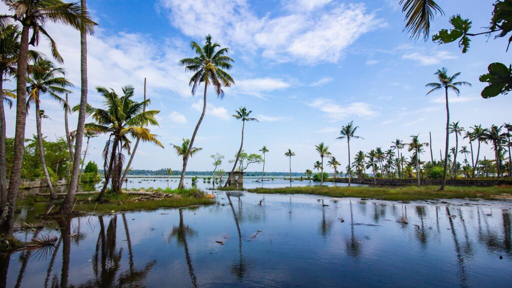Kerala Hills, Wildlife & Beaches