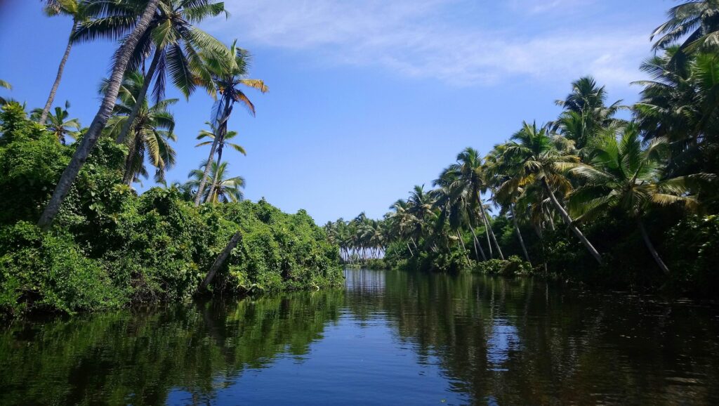 Kerala Hills, Wildlife & Beaches