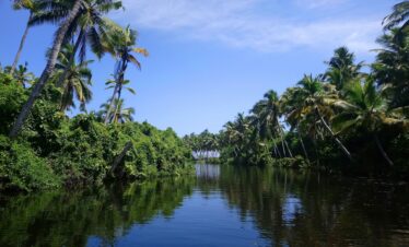 Kerala Hills, Wildlife & Beaches